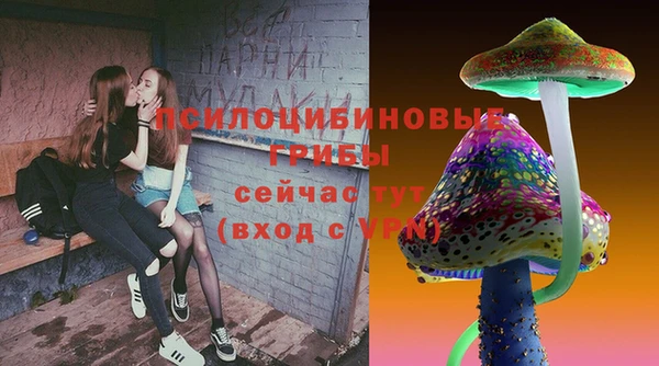 spice Алзамай