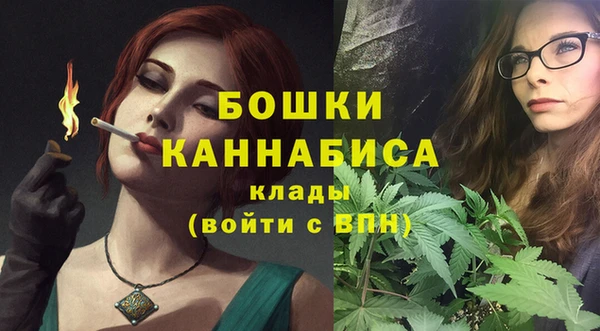 дурь Осинники