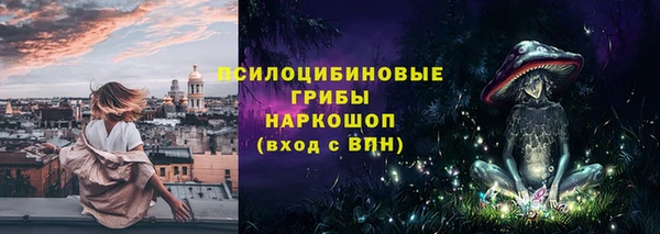 стафф Абаза